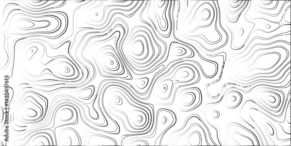 Poster abstract black and white topographic map style pattern design with flowing organic line shapes and g