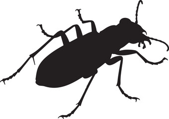 Tiger Beetle Vector Silhouette
