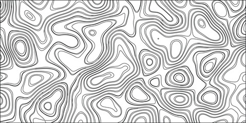Abstract topographical map with organic contours and swirling lines black and white modern vector art design