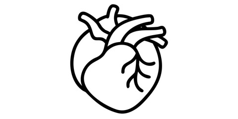 Heart health illustration vector drawing of human heart anatomy for medical education and healthcare design medical icons on transparent background