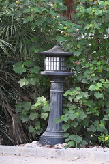 żeliwne lampiony w stylu japońskim w parku palmowym © Miroslaw