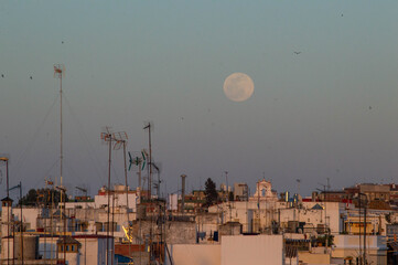 Obraz premium Sunset an moon light on the rooftops of Seville, Spain