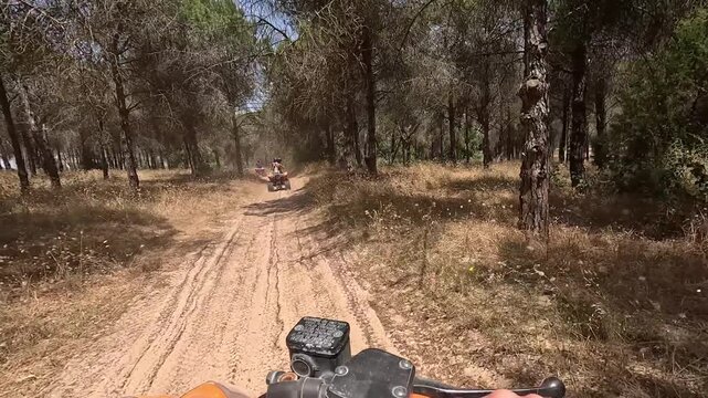 A couple riding an all-terrain vehicle (ATV) along a sandy road surrounded by trees in Tunisia. Adventure, travel, and nature exploration in North Africa.