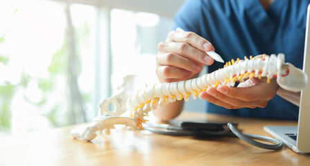 close up physical therapist hand pointing on human skeleton at back to advise and consult to...
