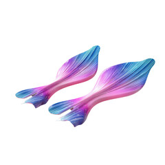 Fototapeta premium Fins for swimming isoleted on transparent background .