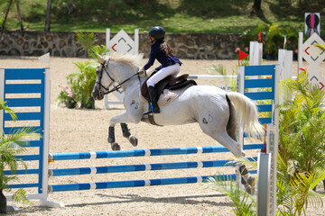 Competitive Equestrian Sport 