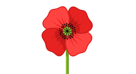 Obraz premium Vibrant Red Poppy Illustration with Simple Design Against a Clear White Backdrop, Floral Detail and Botanical Simplicity in Design Elements