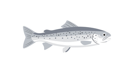 Obraz premium Illustration of a graceful atlantic salmon with detailed fins and speckled body artfully presented on a clean white backdrop