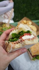 Hand holding fresh ciabatta sandwich with ham, mozzarella, tomato, and greens during picnic. This...