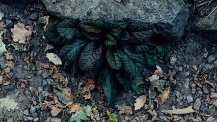 close up of a pile of colorful wool