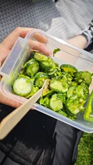 Fresh cucumber salad with herbs in a plastic container held during picnic in the sunlight. This...