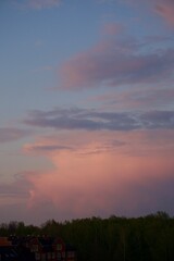 Pink clouds at sunset in summer