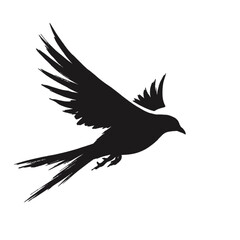 Obraz premium Silhouette of a bird in flight, wings spread wide, soaring through air.