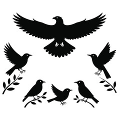 Eagle flying over birds on branches silhouette