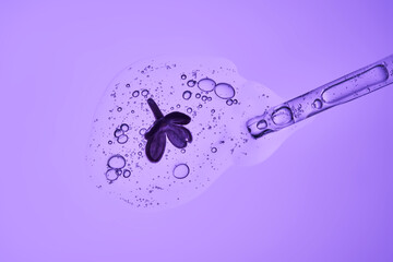 The texture of a serum with a dropper and a lilac flower.