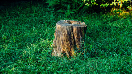 axe in the stump