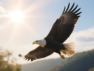 Ba Eagle Soaring in the Sky with Sunlight in the Background