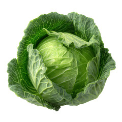 Green cabbage head with textured leaves isolated on a transparent background