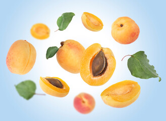 Fresh juicy apricots swirling in air against light blue background