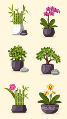 Collection of Six Potted Plants with Zen Stones for Home Decor and Interior Design
