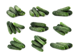 Fresh ripe cucumbers isolated on white, set