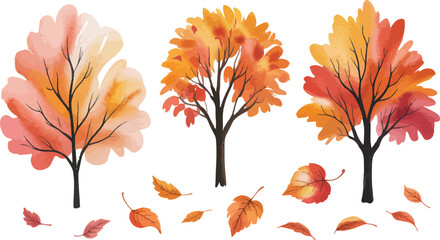 Watercolor illustration of three autumn trees with coral, orange, and red leaves and scattered fall foliage on a white background

