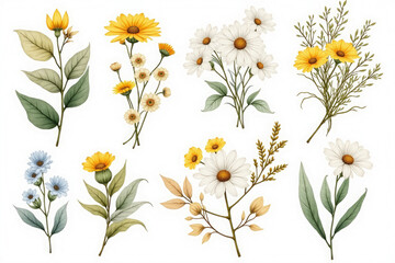 Fototapeta premium Collection of delicate watercolor wildflowers and greenery