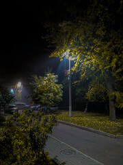 Street at night with a tree lit by a streetlamp. casting dramatic shadows. Autumn leaves on the...