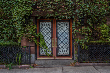 Ornate wrought iron doors framed by ivy on a brownstone building