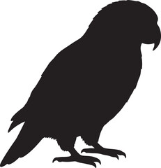 Red Lory Solid Vector Silhouette
