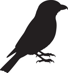 Shrike Solid Vector Silhouette