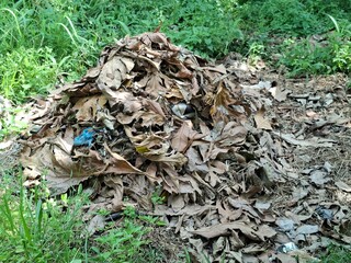 Dried leaf waste before burning