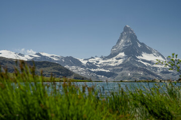 Matterhorn mountain in the summer with Vibrant Alpine Flowers in Foreground, captured from Blauherd...