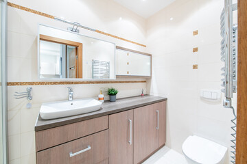 Bright Elegant Modern Luxury Bathroom Interior Design With White Sink.