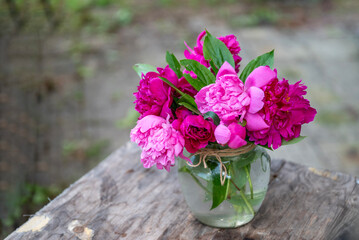 Beautiful bouquet of summer peonies flowers in a glass vase 