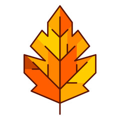 Illustration of autumn leaf. Decorative falling foliage.