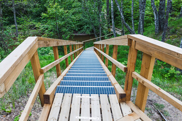 Wooden forest staircase descending to lush green nature trail, perspective view