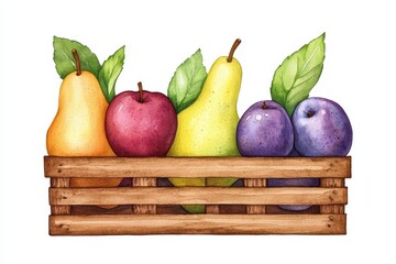 Colorful Assortment of Fresh Fruits in Wooden Basket Display