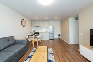 Modern Home Living Room and Kitchen Interior. Luxurious Stylish Modern Apartment.