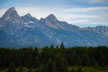 Grand Teton Views