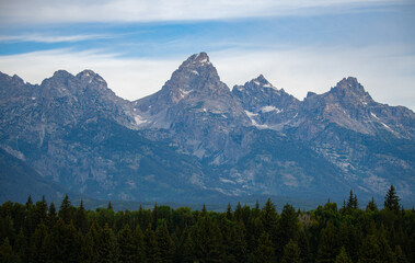 Fototapeta premium Grand Teton Views