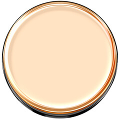 Glossy Metallic Round Button Icon with 3D Shiny Reflective Finish for Modern Web and App Interface Design