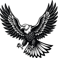 Obraz premium Majestic eagle with outstretched wings in black and white bird flight