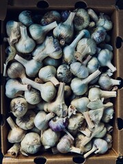 whole garlic bulbs in box at farmers market above view 