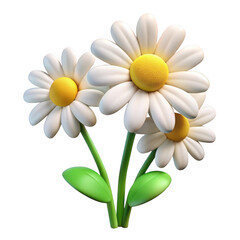 Fototapeta premium 3d daisy flowers bouquet isolated on transparent background