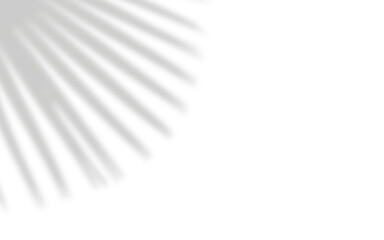 Abstract Lighting Overlay with Diagonal Beams, Minimalist Background with Diagonal Lighting Stripes