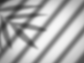 Abstract Lighting Overlay with Diagonal Beams with leaf, Sunlight leaf Shadow Effect for Photography Overlays