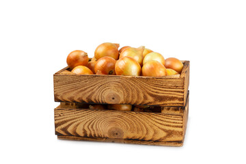 Onion isolated on white background. onion slice. onion rings. Fresh Yellow Onion. Natural, fresh, vegetarian food. Agricultural products. Healthy eating. Vegetables. Farmer's market.