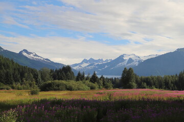 mountain landscape with glacier and mountains