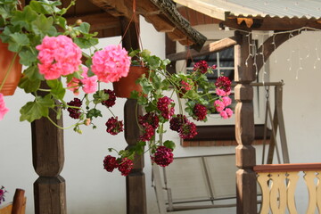 flowers in a house